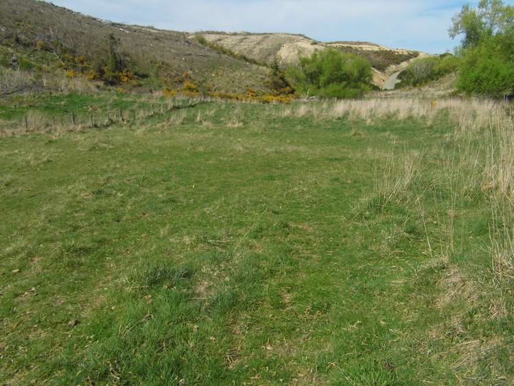 350 Kowhatu Road Waihaorunga_16