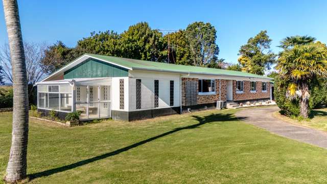 87 College Road Edgecumbe_1