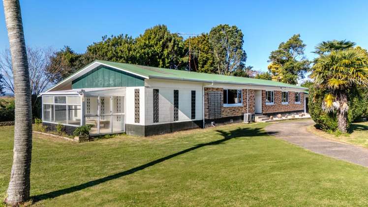 87 College Road Edgecumbe_1