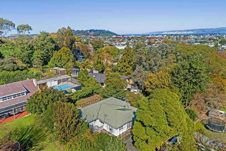 7 Stanford Crescent Whataupoko_19