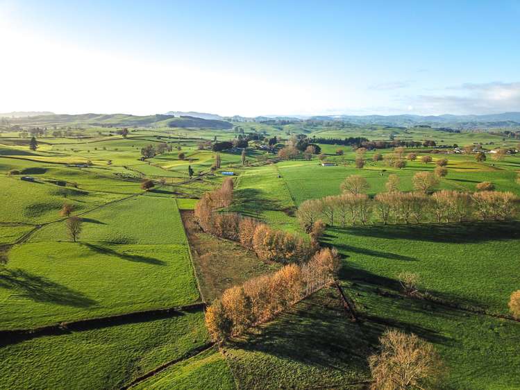 93 Blackett Road Otorohanga_7