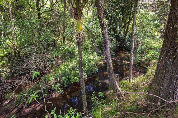 726d Ngunguru Ford Road Kiripaka_17