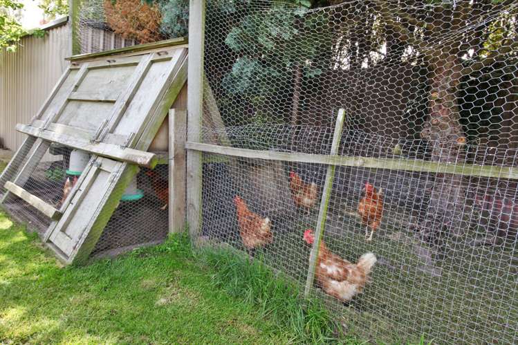 8 Torlesse Street Avonside_15