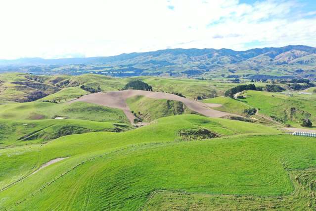 810 Spur Road Ashhurst_4