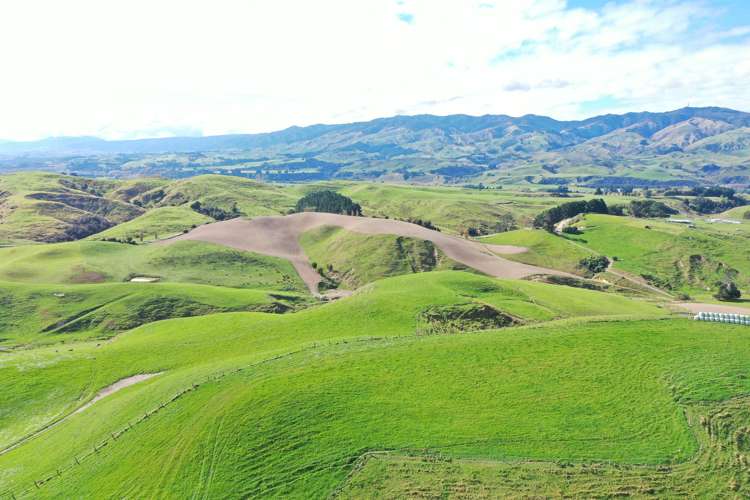 810 Spur Road Ashhurst_4