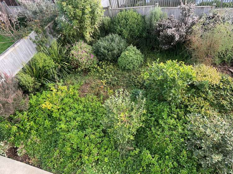 21 Mcquoids Road Flat Bush_24