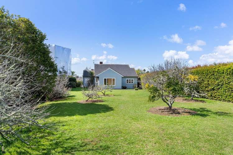 13 Dudley Road Mission Bay_4