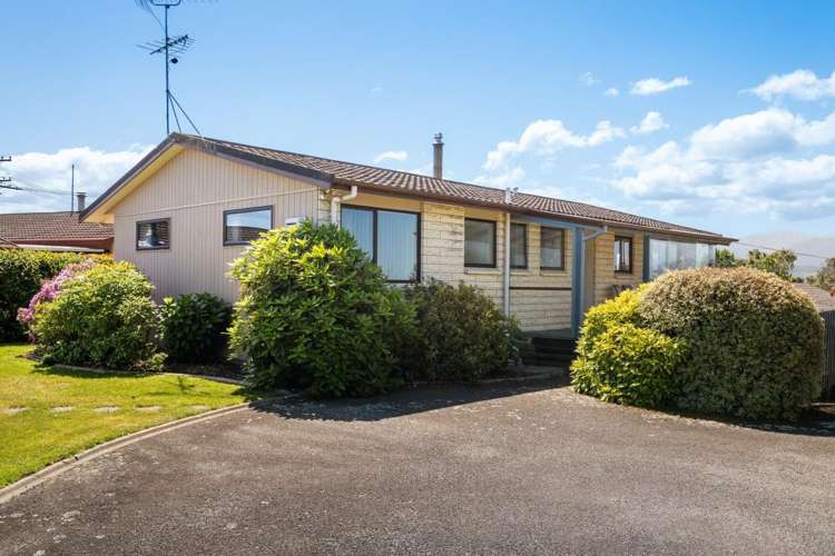 3 Wilson Street Renwick_27