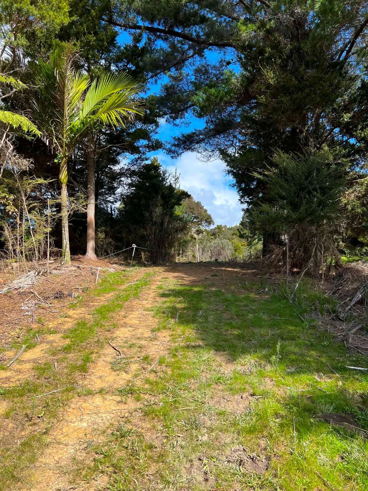 477 Pupuke Mangapa Road_3