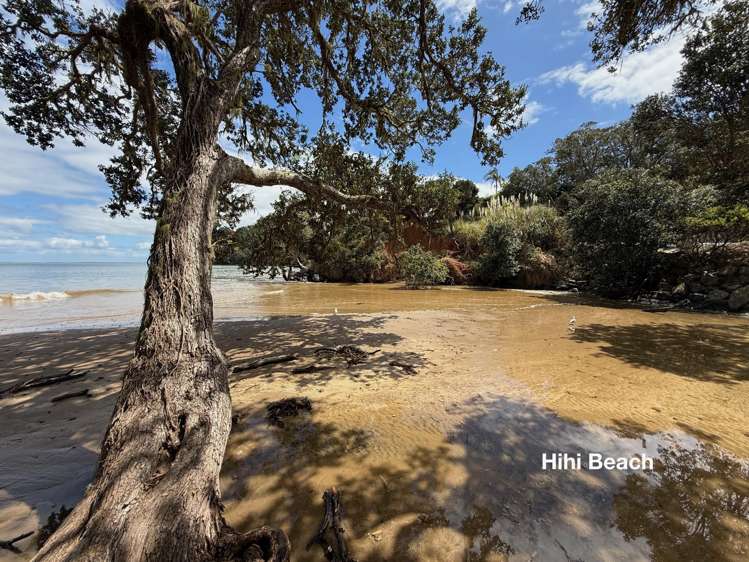 16 Hihi Beach Road Hihi_37