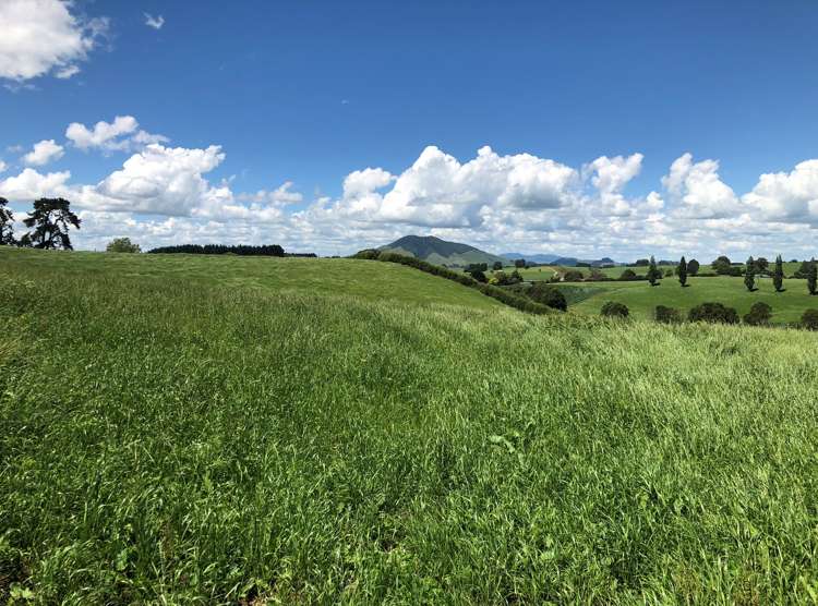 1564 State Highway 31 Kawhia Road Otorohanga_15