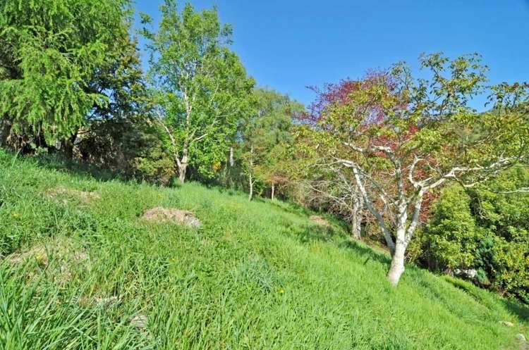 35b Kiwi Street Saint Leonards_4