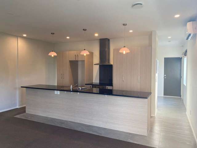 3 Stitchbird Crescent Papakura_1