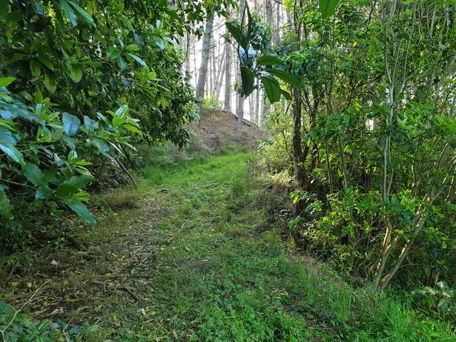 Sterling Road Paparoa_2