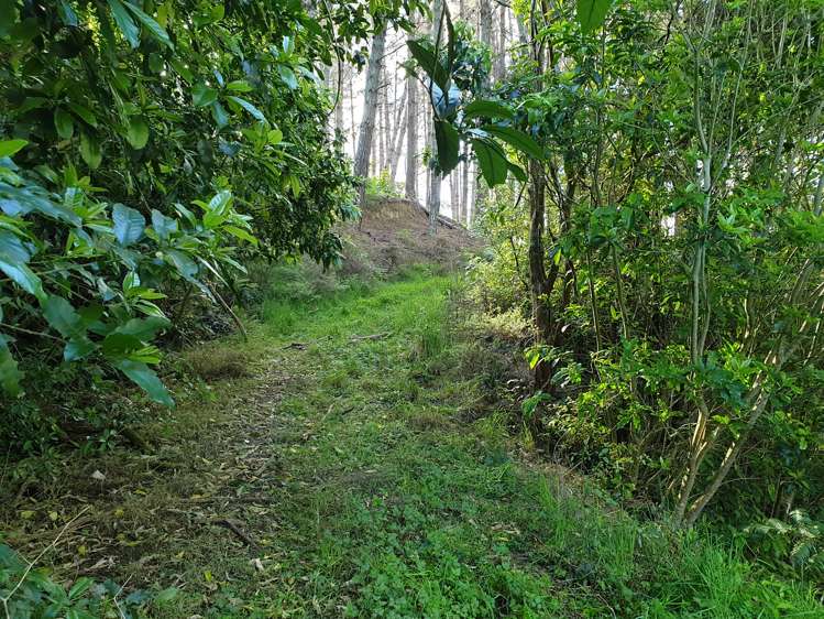 Sterling Road Paparoa_2