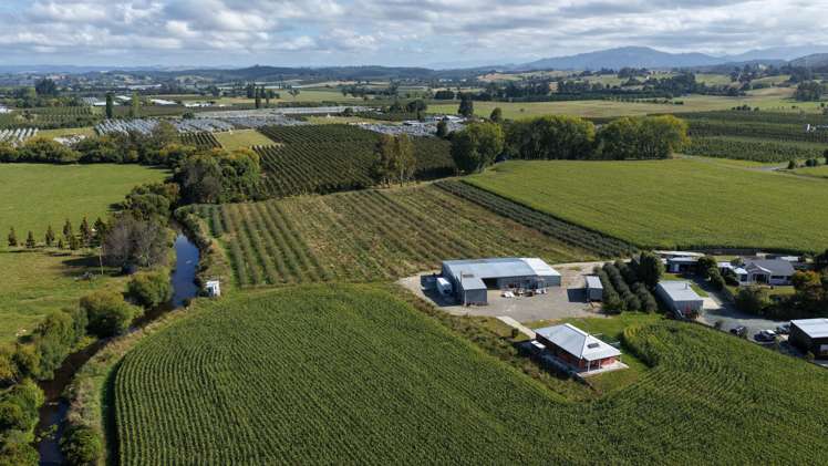 99 Central Road Lower Moutere_8