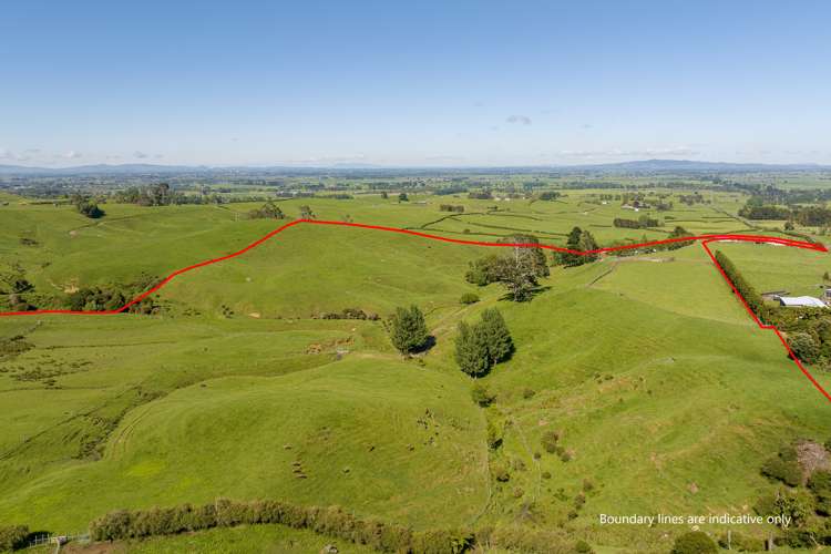 116A Hill Road Te Aroha_1