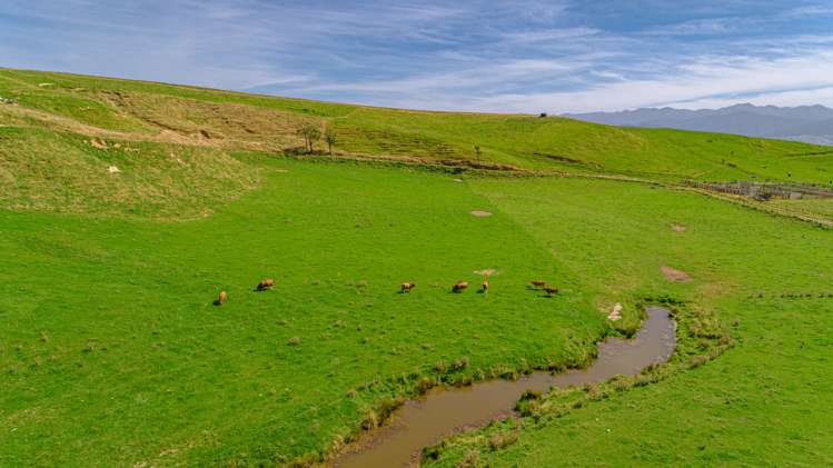 1094 Opaki Kaiparoro Road Rangitumau_9