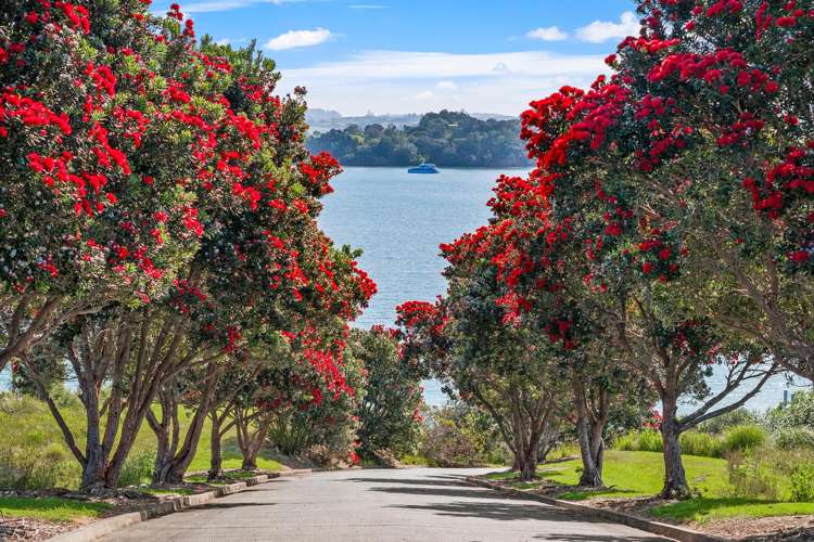 15 Grant Street Mahurangi East_33