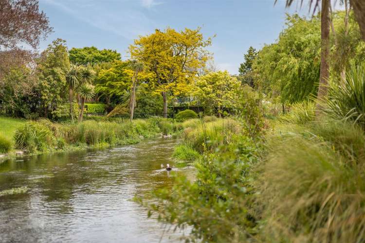 71b Fendalton Road Fendalton_9