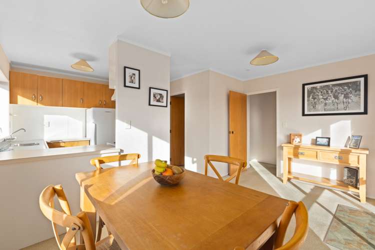 14l Cradock Street Avondale_6