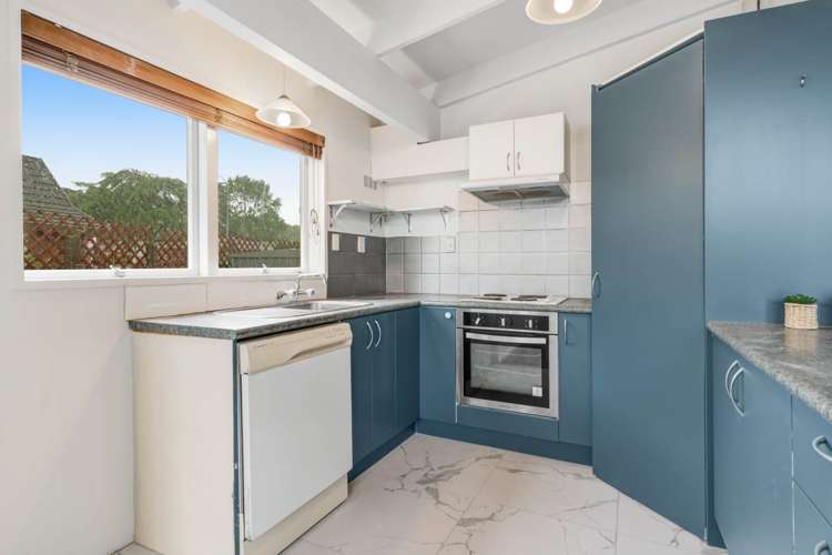 32 Akoranga Drive Northcote_9