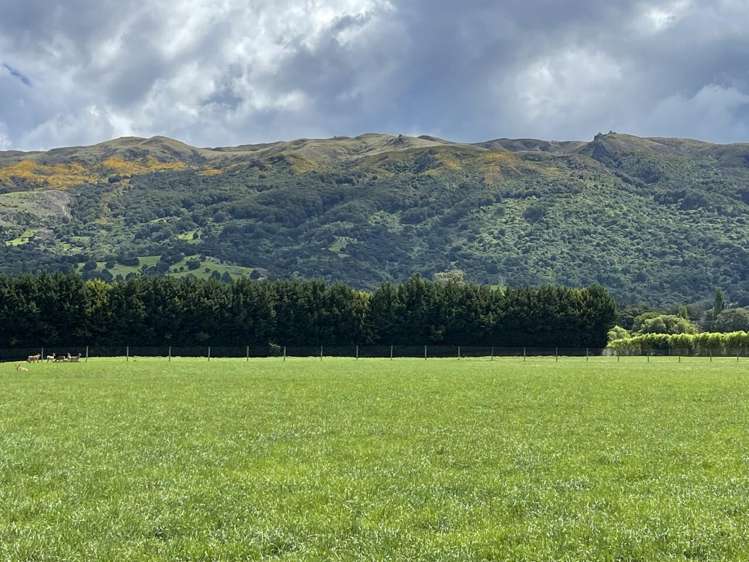 125 Woodside Road Outram_9