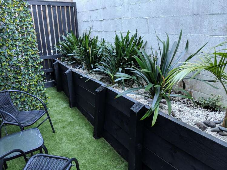 13/28 Williamson Avenue Grey Lynn_11