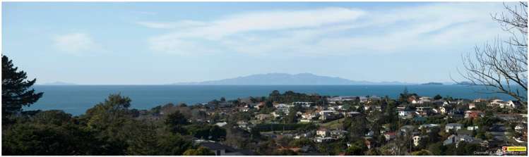 100 Arran Road Browns Bay_2