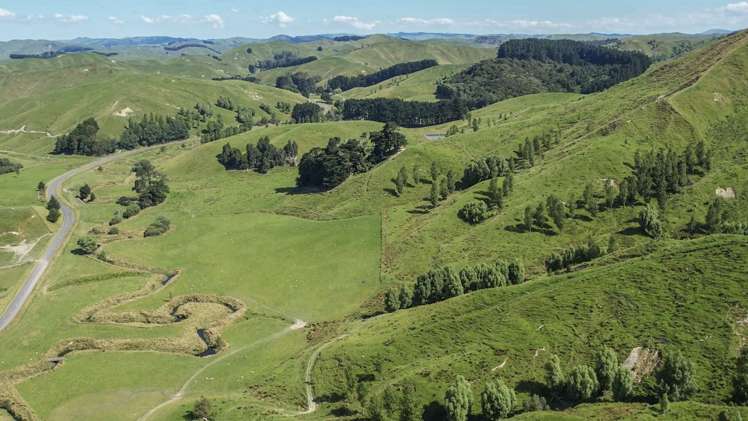 769 Pa Valley Road Eketahuna_10