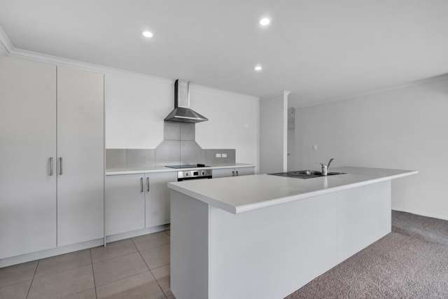 17 Heta Road Highlands Park_2