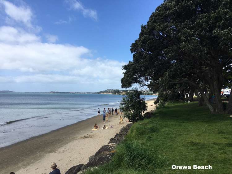 121 Centreway Road Orewa_19