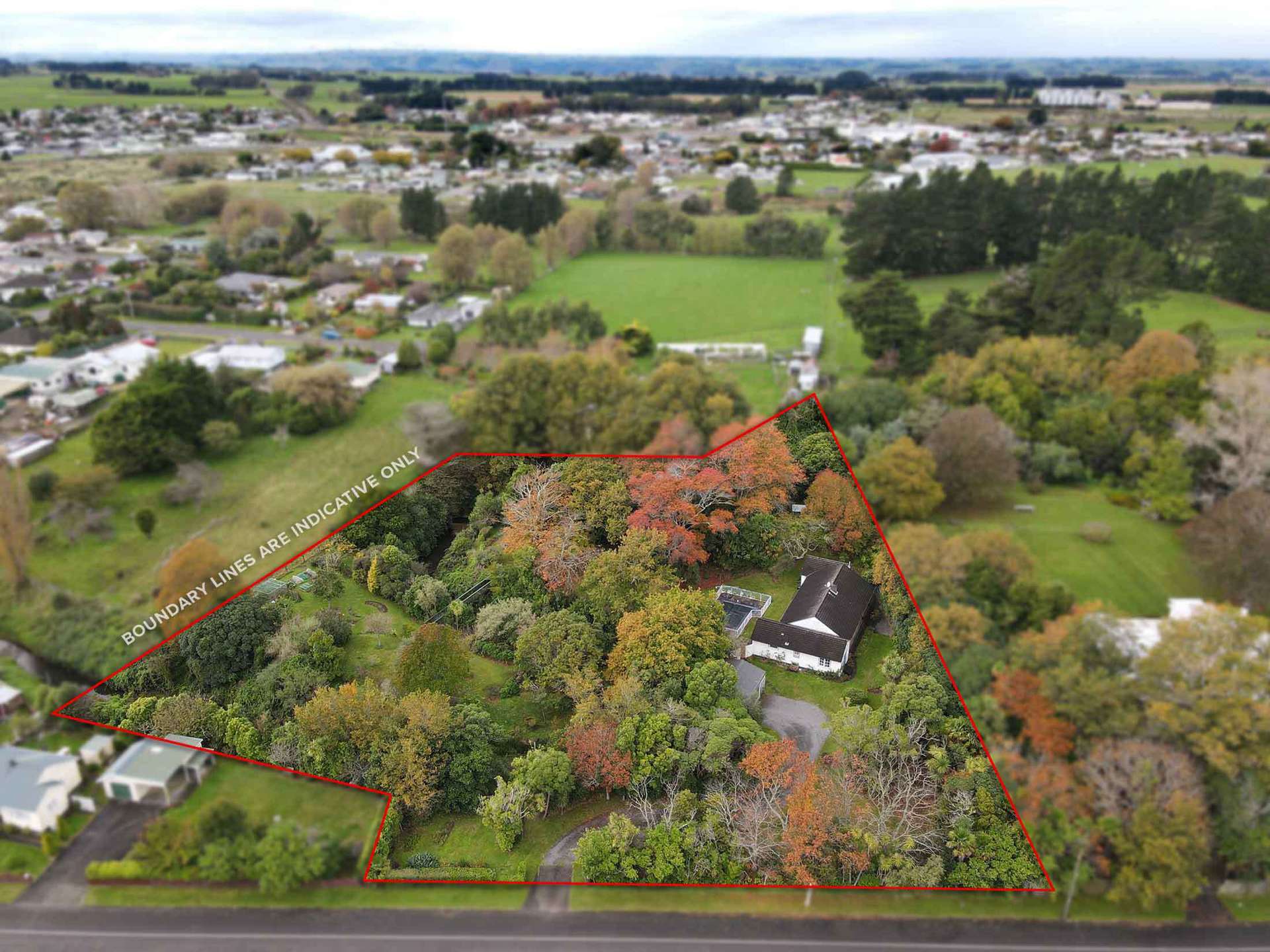 535 Wellington Road Marton_0