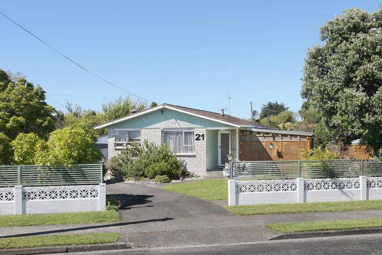 21 Flower Street Bulls_21