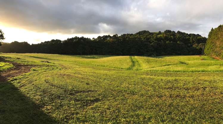 793 Whangaripo Valley Road Whangaripo_34