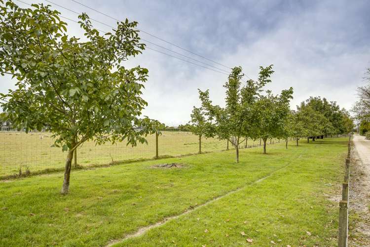 Lot 2, DP 327947, Miller Road Havelock North_17
