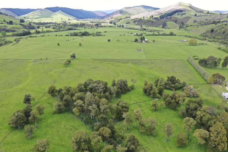 3581 Motueka Valley Highway Kahurangi National Park_16
