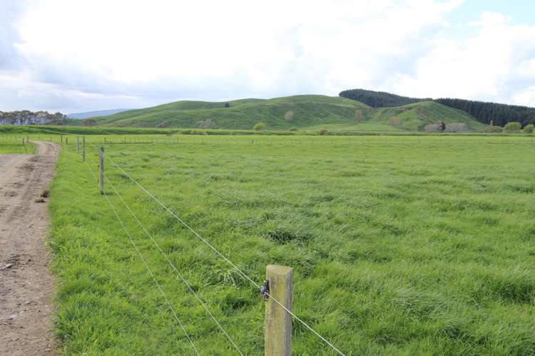 155 Bluff Road Pahiatua_7