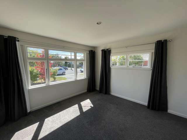 25 Lothian Street Ilam_4