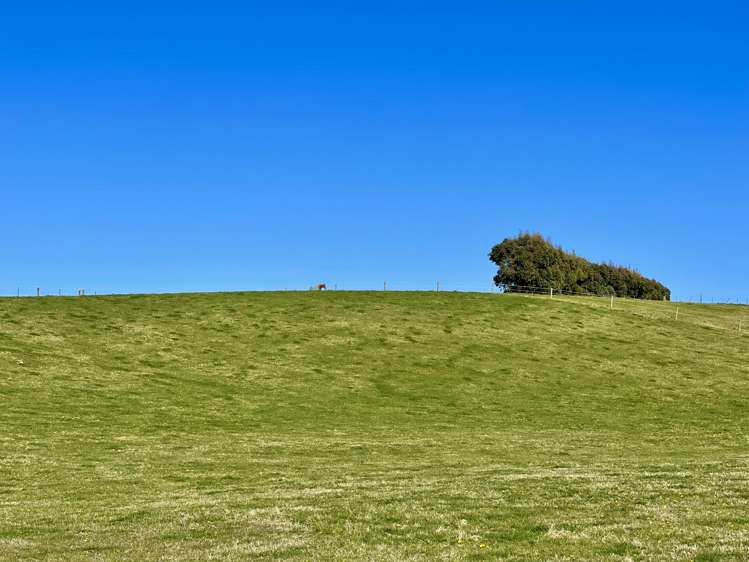 90 Maytown Road Waimate_12