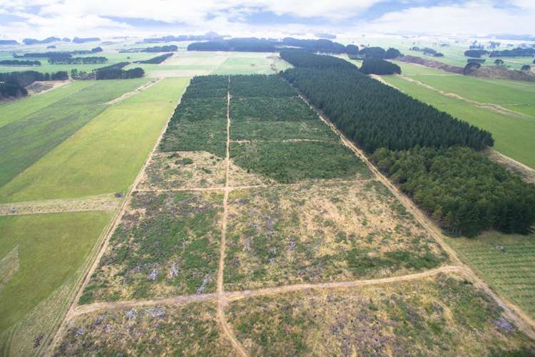 Kellow Road Himatangi_3