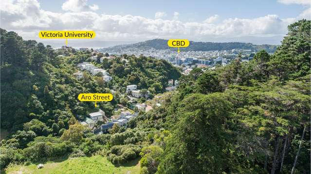 1C Holloway Road Aro Valley_2