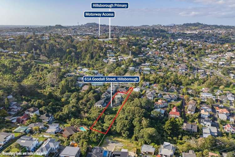 61a Goodall Street Hillsborough_1