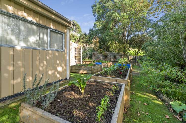 373 Esdaile Road Whakamarama_21