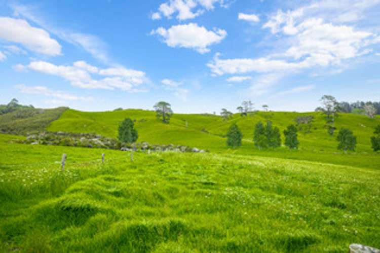 515 Kahikatea Flat Road Pine Valley_8