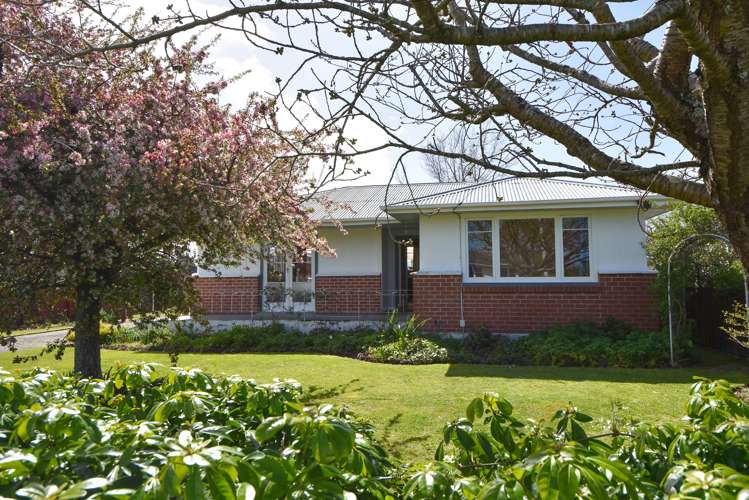 4 Philip Street Carterton_18