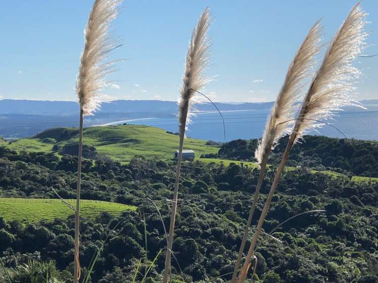 51 Spencer Road Pakiri_18