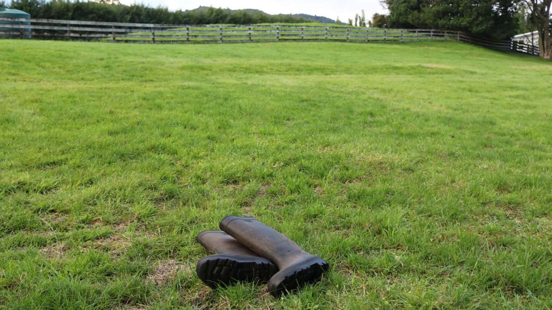 Brenda Gardner Way Maunu_0