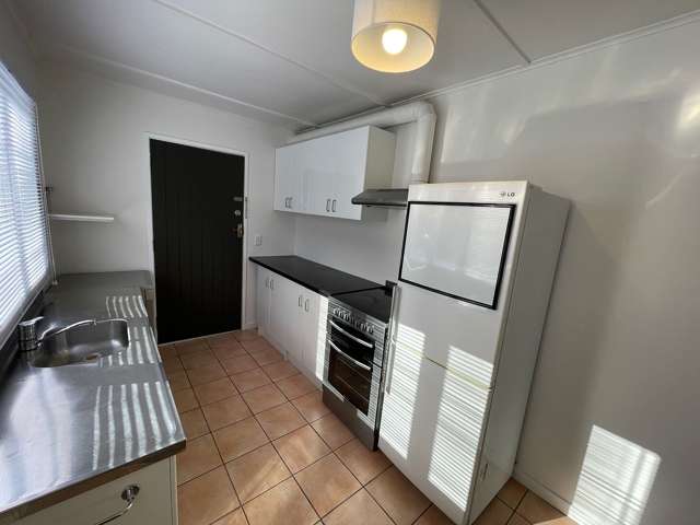 40B Crummer Road Grey Lynn_3