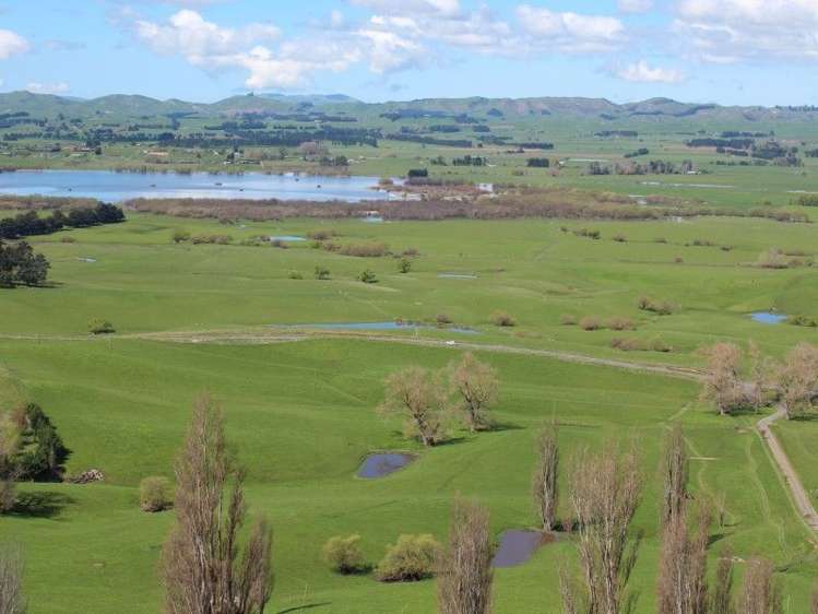 434 Hatuma Road Waipukurau and Surrounds_8